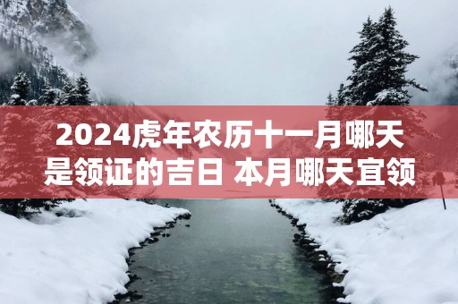 2025蛇年农历十一月哪天是领证的吉日 本月哪天宜领证