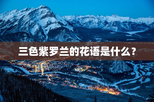 三色紫罗兰的花语是什么？