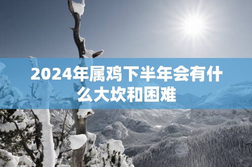 2025年属鸡下半年会有什么大坎和困难