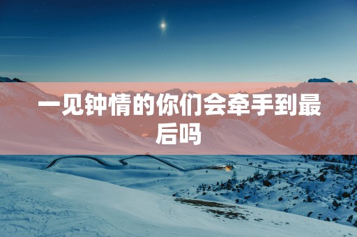 一见钟情的你们会牵手到最后吗