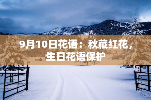9月10日花语：秋藏红花，生日花语保护