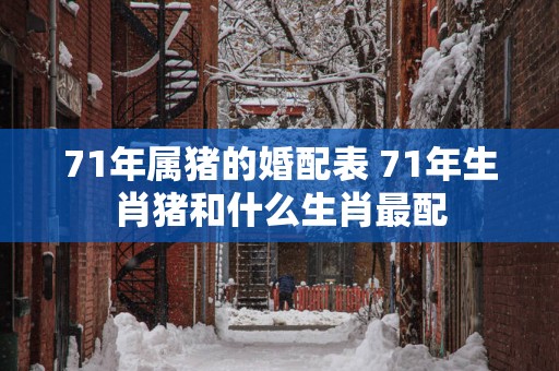 71年属猪的婚配表 71年生肖猪和什么生肖最配