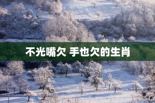 不光嘴欠 手也欠的生肖