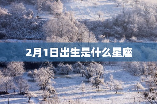 2月1日出生是什么星座