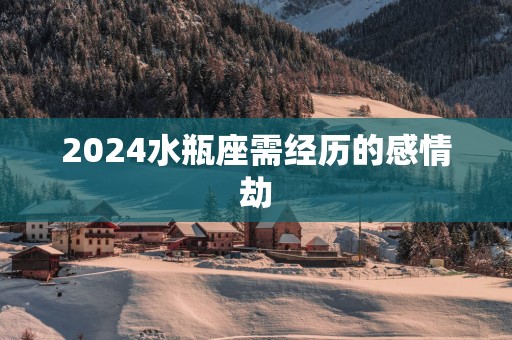 2025水瓶座需经历的感情劫