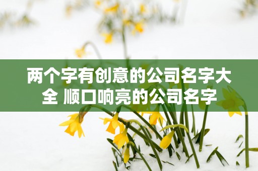 两个字有创意的公司名字大全 顺口响亮的公司名字