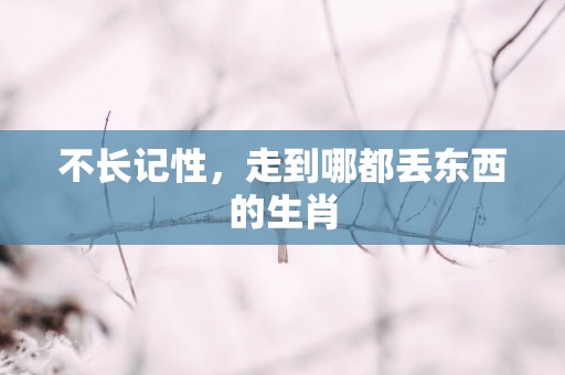 不长记性，走到哪都丢东西的生肖