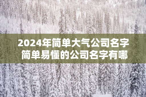 2025年简单大气公司名字 简单易懂的公司名字有哪些 2025年简单大气公司名字 简单易懂的公司名字有哪些