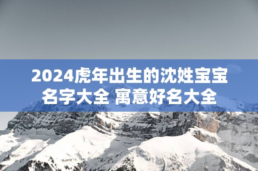 2025蛇年出生的沈姓宝宝名字大全 寓意好名大全