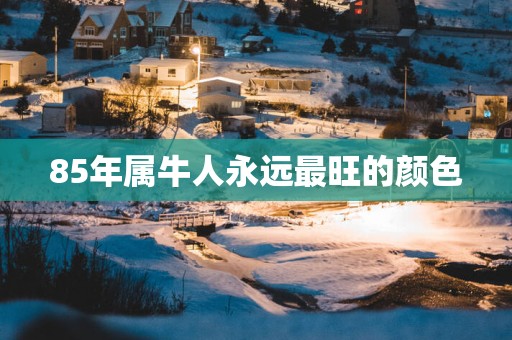 85年属牛人永远最旺的颜色