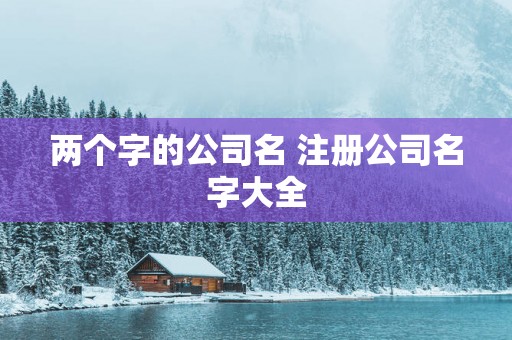 两个字的公司名 注册公司名字大全