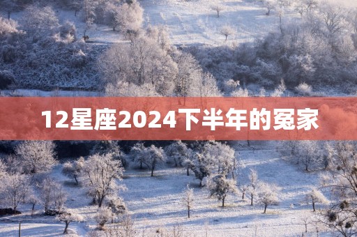 12星座2025下半年的冤家