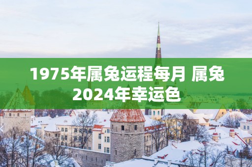 1975年属兔运程每月 属兔2025年幸运色