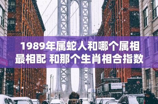 1989年属蛇人和哪个属相最相配 和那个生肖相合指数最高