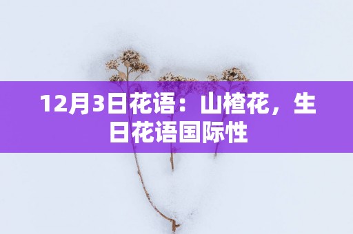 12月3日花语：山楂花，生日花语国际性