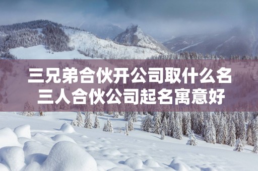 三兄弟合伙开公司取什么名 三人合伙公司起名寓意好的
