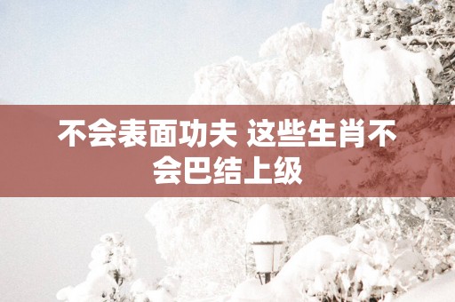 不会表面功夫 这些生肖不会巴结上级