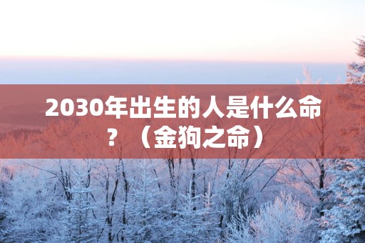 2030年出生的人是什么命？（金狗之命）