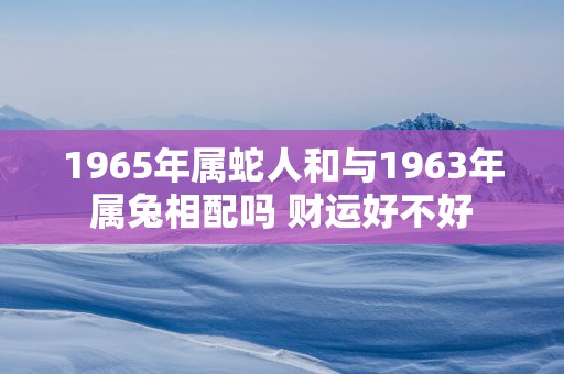 1965年属蛇人和与1963年属兔相配吗 财运好不好
