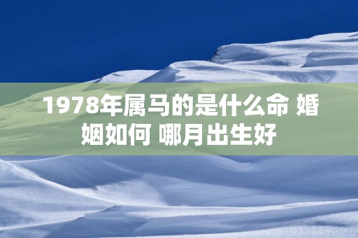 1978年属马的是什么命 婚姻如何 哪月出生好