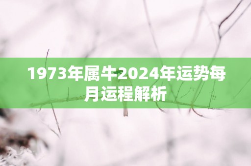 1973年属牛2025年运势每月运程解析
