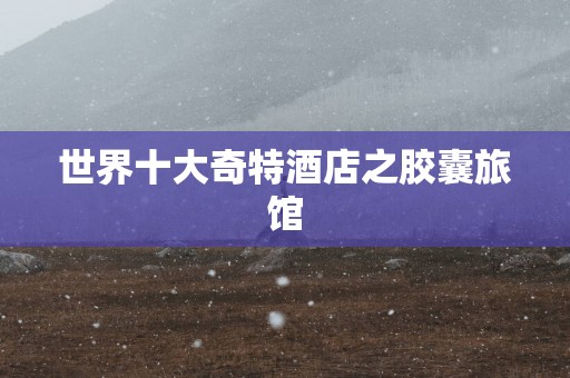 世界十大奇特酒店之胶囊旅馆