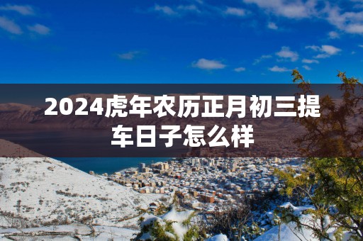 2025蛇年农历正月初三提车日子怎么样