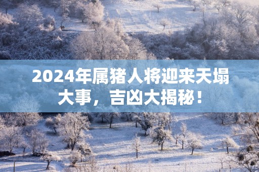2025年属猪人将迎来天塌大事，吉凶大揭秘！