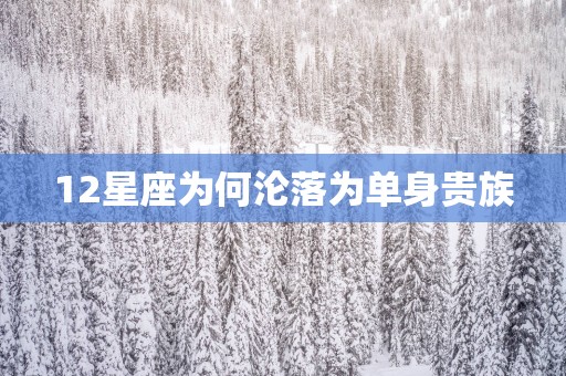 12星座为何沦落为单身贵族