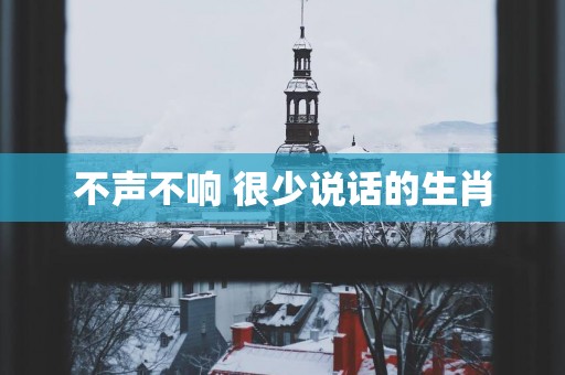 不声不响 很少说话的生肖