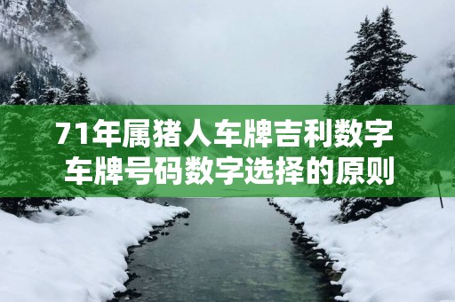 71年属猪人车牌吉利数字 车牌号码数字选择的原则