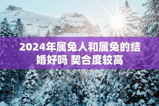 2025年属兔人和属兔的结婚好吗 契合度较高
