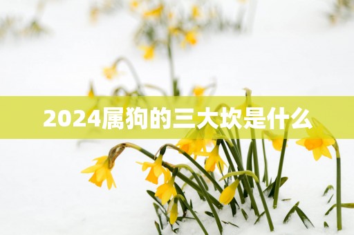 2025属狗的三大坎是什么