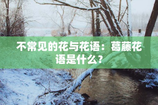 不常见的花与花语：葛藤花语是什么？