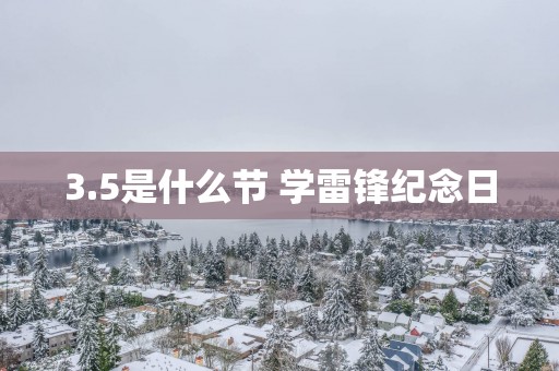 3.5是什么节 学雷锋纪念日