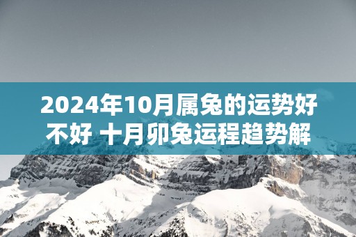 2025年10月属兔的运势好不好 十月卯兔运程趋势解说