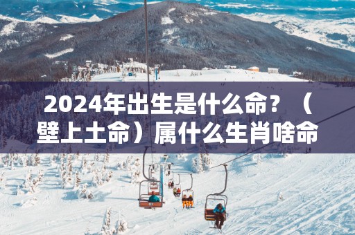 2025年出生是什么命？（壁上土命）属什么生肖啥命