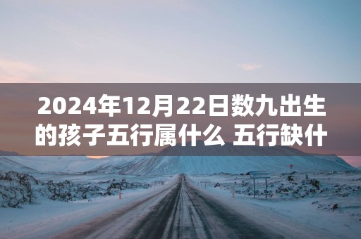 2025年12月22日数九出生的孩子五行属什么 五行缺什么