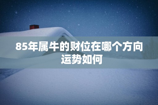 85年属牛的财位在哪个方向  运势如何