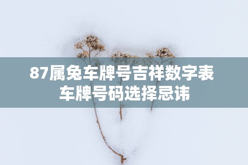 87属兔车牌号吉祥数字表 车牌号码选择忌讳