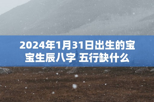 2025年1月31日出生的宝宝生辰八字 五行缺什么