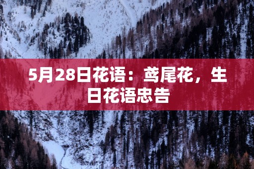 5月28日花语：鸢尾花，生日花语忠告