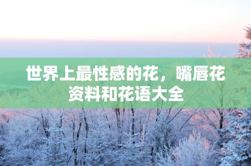 世界上最性感的花，嘴唇花资料和花语大全