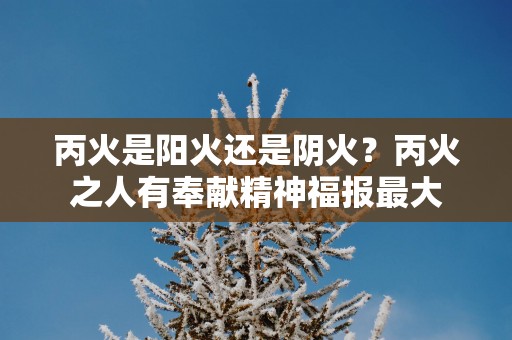 丙火是阳火还是阴火？丙火之人有奉献精神福报最大