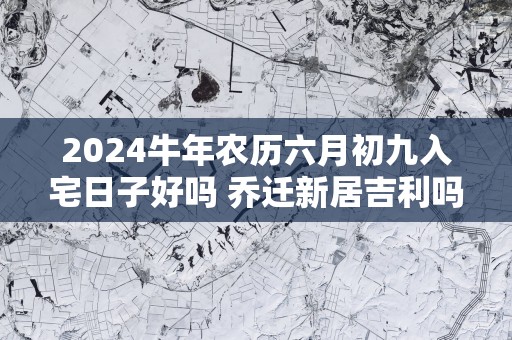 2025蛇年农历六月初九入宅日子好吗 乔迁新居吉利吗