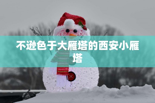 不逊色于大雁塔的西安小雁塔