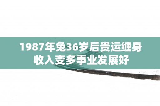 1987年兔36岁后贵运缠身 收入变多事业发展好