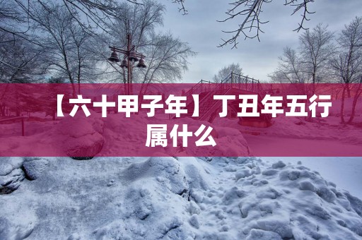 【六十甲子年】丁丑年五行属什么