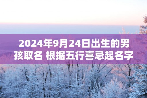 2025年9月24日出生的男孩取名 根据五行喜忌起名字