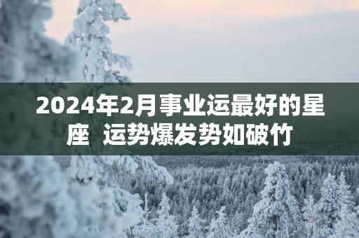 2025年2月事业运最好的星座  运势爆发势如破竹
